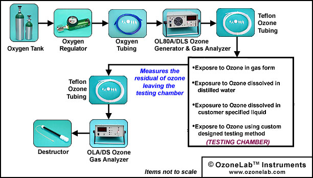 Ozone Exposure Diagram
